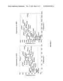 ENHANCED NUCLEIC ACID CONSTRUCTS FOR EUKARYOTIC GENE EXPRESSION diagram and image