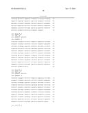 ENHANCED NUCLEIC ACID CONSTRUCTS FOR EUKARYOTIC GENE EXPRESSION diagram and image