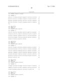 ENHANCED NUCLEIC ACID CONSTRUCTS FOR EUKARYOTIC GENE EXPRESSION diagram and image