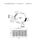 Bi-Functional Short-Hairpin RNA (Bi-shRNA) Specific for Single-Nucleotide     KRAS Mutations diagram and image