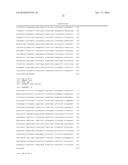 Bi-Functional Short-Hairpin RNA (Bi-shRNA) Specific for Single-Nucleotide     KRAS Mutations diagram and image