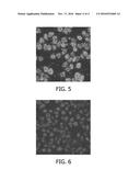 STRATIFICATION OF PATIENTS FOR ASSESSING THE SUITABILITY OF A THERAPY diagram and image