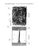 NON-VOLATILE COMPOSITE NANOSCOPIC FABRIC NAND MEMORY ARRAYS AND METHODS OF     MAKING SAME diagram and image