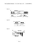 Gluconate-Based Compositions As A Neonate Anticonvulsant diagram and image