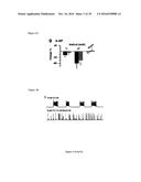 Gluconate-Based Compositions As A Neonate Anticonvulsant diagram and image