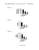 Gluconate-Based Compositions As A Neonate Anticonvulsant diagram and image