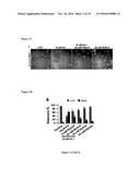 Gluconate-Based Compositions As A Neonate Anticonvulsant diagram and image