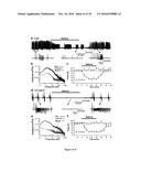 Gluconate-Based Compositions As A Neonate Anticonvulsant diagram and image