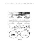 Gluconate-Based Compositions As A Neonate Anticonvulsant diagram and image