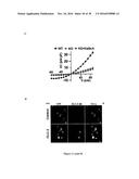 Gluconate-Based Compositions As A Neonate Anticonvulsant diagram and image