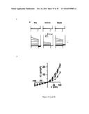 Gluconate-Based Compositions As A Neonate Anticonvulsant diagram and image