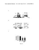 Gluconate-Based Compositions As A Neonate Anticonvulsant diagram and image