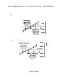 Gluconate-Based Compositions As A Neonate Anticonvulsant diagram and image