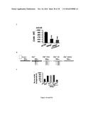 Gluconate-Based Compositions As A Neonate Anticonvulsant diagram and image