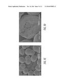 FORMULATIONS OF L-ORNITHINE PHENYLACETATE diagram and image