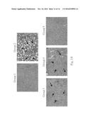 Trans-2-nonadecyl-4-hydroxymethyl-1,3-dioxolane and producing     methodthereof diagram and image