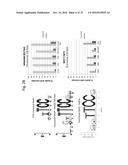 Tailored Combinatorial Epigenetic Therapies for P53 Gain-of-Function     Tumors diagram and image