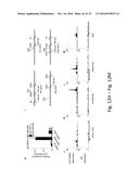 Tailored Combinatorial Epigenetic Therapies for P53 Gain-of-Function     Tumors diagram and image