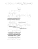 IMMUNOGENIC/THERAPEUTIC GLYCOCONJUGATE COMPOSITIONS AND USES THEREOF diagram and image