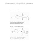 IMMUNOGENIC/THERAPEUTIC GLYCOCONJUGATE COMPOSITIONS AND USES THEREOF diagram and image