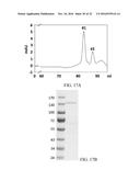 Peptide core-based multi-arm linkers for treating central nervous system     diseases diagram and image