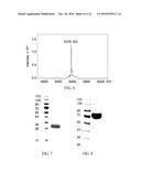 Peptide core-based multi-arm linkers for treating infectious diseases diagram and image