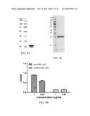 Peptide core-based multi-arm linkers for treating infectious diseases diagram and image