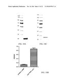 Peptide core-based multi-arm linkers for treating infectious diseases diagram and image