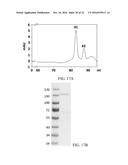 Peptide core-based multi-arm linkers for treating infectious diseases diagram and image