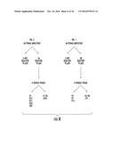 ANTIMICROBIAL COMPOSITIONS COMPRISING SINGLE DOMAIN ANTIBODIES AND     PSEUDOMONAS EXOTOXIN diagram and image