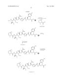 TUBULYSIN DERIVATIVES diagram and image