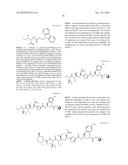 TUBULYSIN DERIVATIVES diagram and image