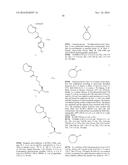 MULTIPLE CYCLOADDITION REACTIONS FOR LABELING OF MOLECULES diagram and image