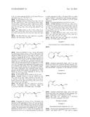 MULTIPLE CYCLOADDITION REACTIONS FOR LABELING OF MOLECULES diagram and image