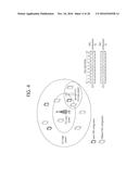 APPARATUS AND METHOD FOR TRANSMITTING HARQ ACK/NACK diagram and image