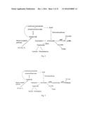 GENETICALLY ENGINEERED MICROORGANISMS FOR THE PRODUCTION OF     CHORISMATE-DERIVED PRODUCTS diagram and image