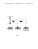 MICROFLUIDIC PLATE FOR SAMPLE PROCESSING diagram and image