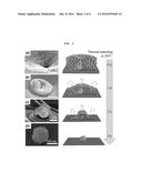 METHOD OF FABRICATING ARRAY OF NANOPARTICLE CLUSTERS USING THERMAL     TRANSFORMATION OF SUBLIMABLE LIQUID CRYSTAL FILM diagram and image