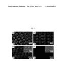 METHOD OF FABRICATING ARRAY OF NANOPARTICLE CLUSTERS USING THERMAL     TRANSFORMATION OF SUBLIMABLE LIQUID CRYSTAL FILM diagram and image