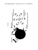 METHOD FOR DISINFECTING A FLUID WITH A PALLADIUM-DOPED TUNGSTEN TRIOXIDE     PHOTO-CATALYST diagram and image