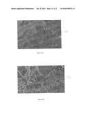 POINT CLOUD DATA HIERARCHY diagram and image