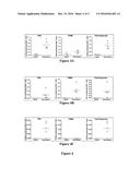 Consensus Prostate Antigens, Nucleic Acid Molecule Encoding The Same And     Vaccine And Uses Comprising The Same diagram and image