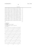 Consensus Prostate Antigens, Nucleic Acid Molecule Encoding The Same And     Vaccine And Uses Comprising The Same diagram and image