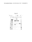 NON-CYTOTOXIC PROTEIN CONJUGATES diagram and image