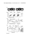 RESTRICTING NUCLEAR PROTEIN TO SPECIFIC PHASES OF THE CELL CYCLE diagram and image