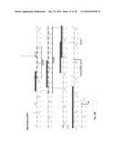 RESTRICTING NUCLEAR PROTEIN TO SPECIFIC PHASES OF THE CELL CYCLE diagram and image