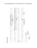 RESTRICTING NUCLEAR PROTEIN TO SPECIFIC PHASES OF THE CELL CYCLE diagram and image