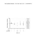 Histidyl-tRNA synthetases for treating autoimmune and inflammatory     diseases diagram and image