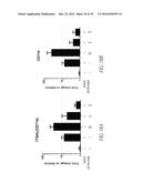 Histidyl-tRNA synthetases for treating autoimmune and inflammatory     diseases diagram and image