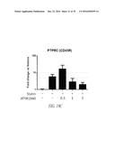 Histidyl-tRNA synthetases for treating autoimmune and inflammatory     diseases diagram and image